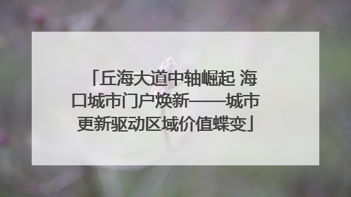 丘海大道中轴崛起 海口城市门户焕新——城市更新驱动区域价值蝶变