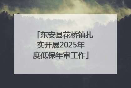 东安县花桥镇扎实开展2025年度低保年审工作