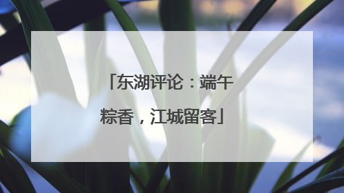 东湖评论：端午粽香，江城留客