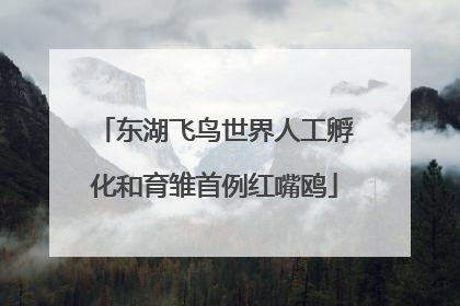 东湖飞鸟世界人工孵化和育雏首例红嘴鸥