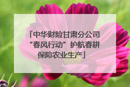 中华财险甘肃分公司“春风行动”护航春耕 保障农业生产