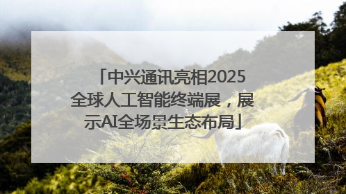 中兴通讯亮相2025全球人工智能终端展，展示AI全场景生态布局