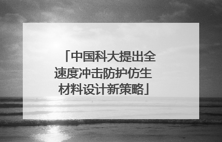 中国科大提出全速度冲击防护仿生材料设计新策略