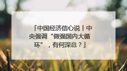 中国经济信心说丨中央强调“做强国内大循环”，有何深意？