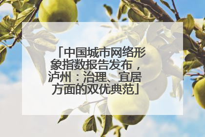 中国城市网络形象指数报告发布，泸州：治理、宜居方面的双优典范