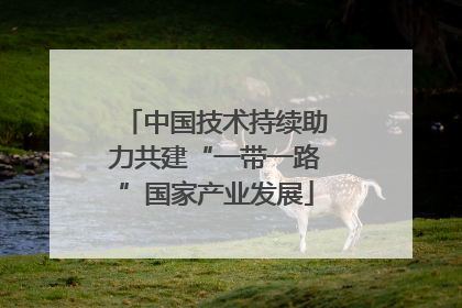 中国技术持续助力共建“一带一路”国家产业发展
