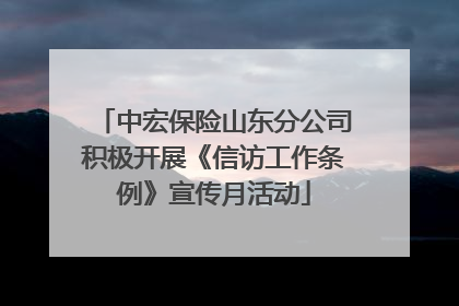中宏保险山东分公司积极开展《信访工作条例》宣传月活动