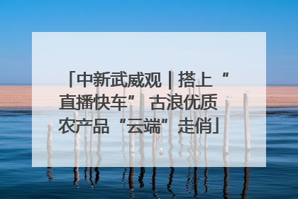 中新武威观｜搭上“直播快车” 古浪优质农产品“云端”走俏