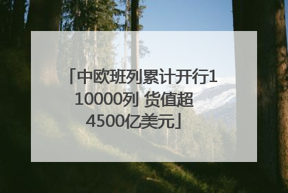 中欧班列累计开行110000列 货值超4500亿美元