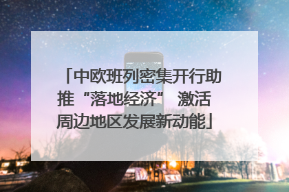 中欧班列密集开行助推“落地经济” 激活周边地区发展新动能