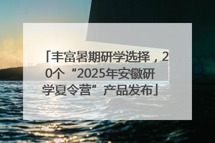 丰富暑期研学选择，20个“2025年安徽研学夏令营”产品发布