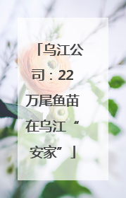 乌江公司：22万尾鱼苗在乌江“安家”