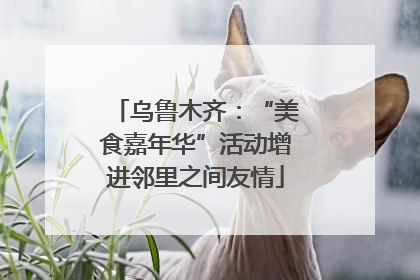 乌鲁木齐：“美食嘉年华”活动增进邻里之间友情