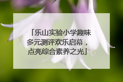 乐山实验小学趣味多元测评欢乐启幕，点亮综合素养之光