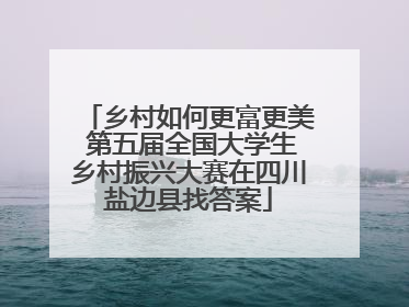 乡村如何更富更美 第五届全国大学生乡村振兴大赛在四川盐边县找答案