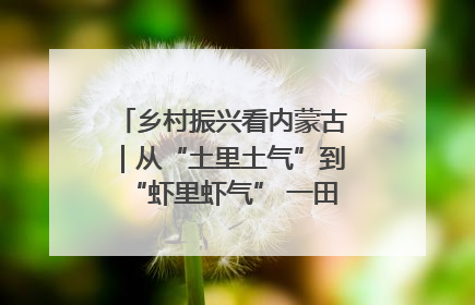 乡村振兴看内蒙古｜从“土里土气”到“虾里虾气” 一田双收模式火出圈