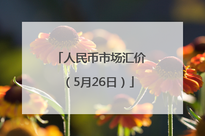 人民币市场汇价（5月26日）