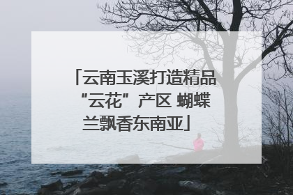 云南玉溪打造精品“云花”产区 蝴蝶兰飘香东南亚