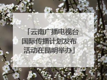 云南广播电视台国际传播计划发布活动在昆明举办