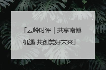 云岭时评｜共享南博机遇 共创美好未来