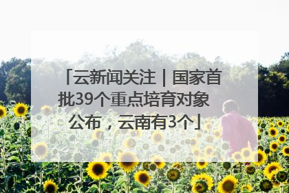 云新闻关注｜国家首批39个重点培育对象公布，云南有3个