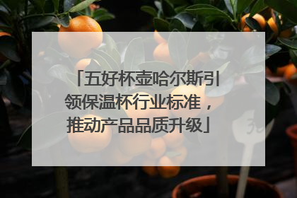 五好杯壶哈尔斯引领保温杯行业标准，推动产品品质升级