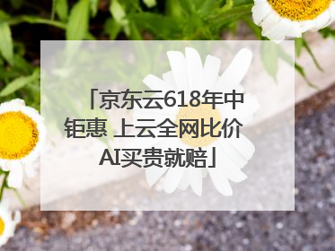 京东云618年中钜惠 上云全网比价 AI买贵就赔