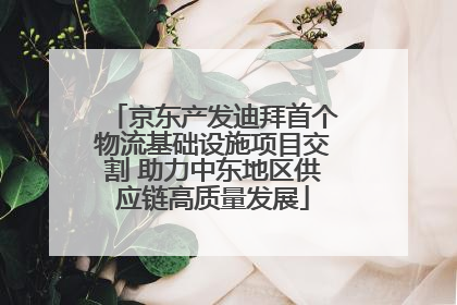 京东产发迪拜首个物流基础设施项目交割 助力中东地区供应链高质量发展