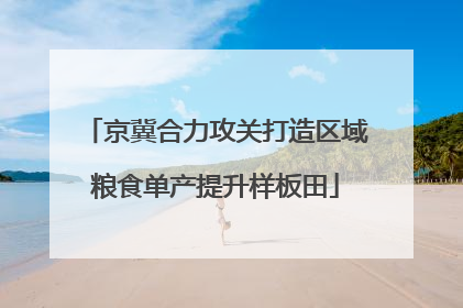 京冀合力攻关打造区域粮食单产提升样板田