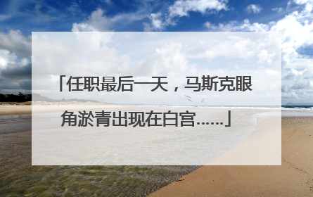 任职最后一天，马斯克眼角淤青出现在白宫……