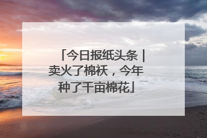 今日报纸头条｜卖火了棉袄，今年种了千亩棉花