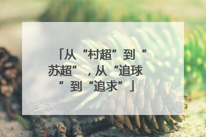 从“村超”到“苏超”，从“追球”到“追求”