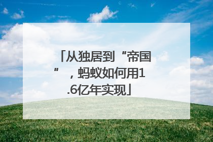 从独居到“帝国”，蚂蚁如何用1.6亿年实现