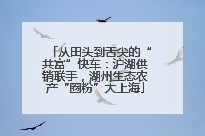 从田头到舌尖的“共富”快车：沪湖供销联手，湖州生态农产“圈粉”大上海