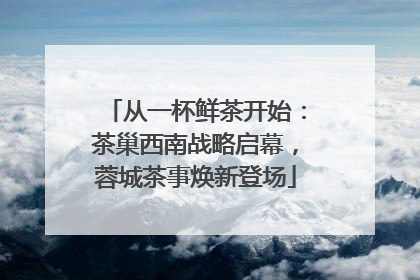 从一杯鲜茶开始：茶巢西南战略启幕，蓉城茶事焕新登场