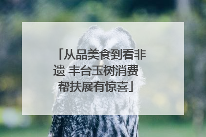 从品美食到看非遗 丰台玉树消费帮扶展有惊喜