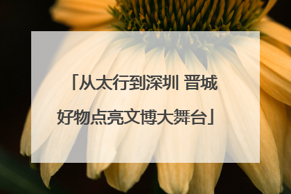 从太行到深圳 晋城好物点亮文博大舞台