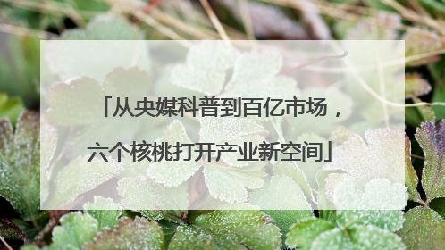 从央媒科普到百亿市场，六个核桃打开产业新空间