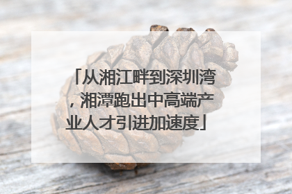 从湘江畔到深圳湾，湘潭跑出中高端产业人才引进加速度