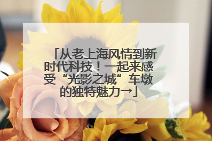 从老上海风情到新时代科技！一起来感受“光影之城”车墩的独特魅力→