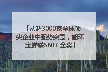 从超3000家全球顶尖企业中强势突围，能环宝蝉联SNEC金奖