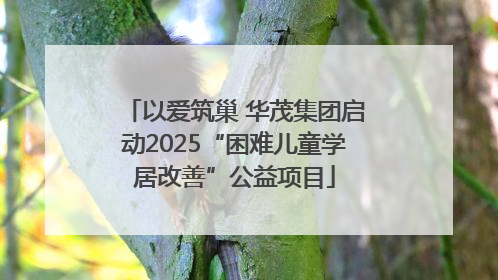以爱筑巢 华茂集团启动2025“困难儿童学居改善”公益项目