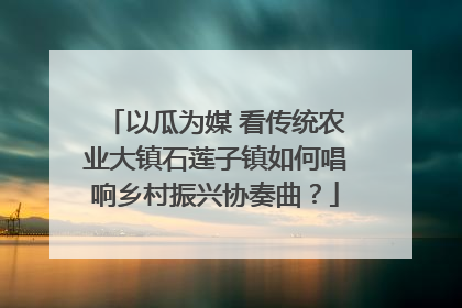 以瓜为媒 看传统农业大镇石莲子镇如何唱响乡村振兴协奏曲？