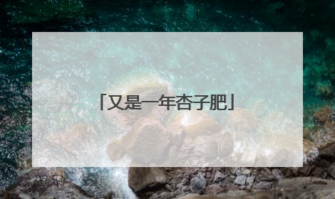 又是一年杏子肥