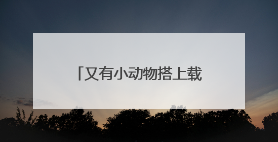又有小动物搭上载人飞船去太空了！为什么模式生物能成为“探索代表”？