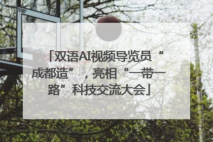双语AI视频导览员“成都造”，亮相“一带一路”科技交流大会