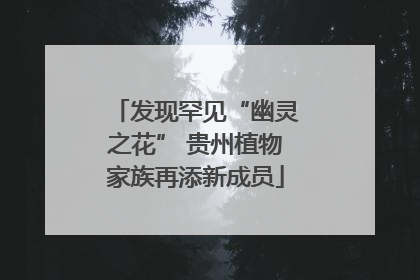 发现罕见“幽灵之花” 贵州植物家族再添新成员