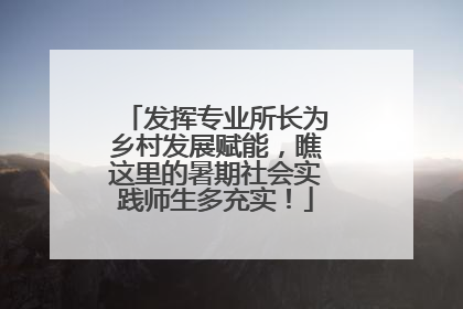 发挥专业所长为乡村发展赋能，瞧这里的暑期社会实践师生多充实！