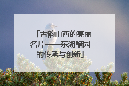 古韵山西的亮丽名片——东湖醋园的传承与创新