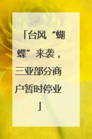 台风“蝴蝶”来袭，三亚部分商户暂时停业